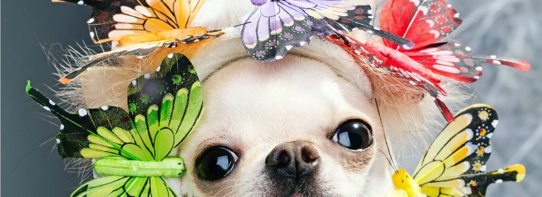 Spring Craziest Hat Contest Idea